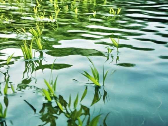 Water Surface Texture Background: Bring Fluidity and Depth to Your Creative Projects